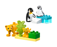 LEGO DUPLO 10442 Rodziny dzikich zwierząt pingwiny i lwy - 1299016 - zdjęcie 6